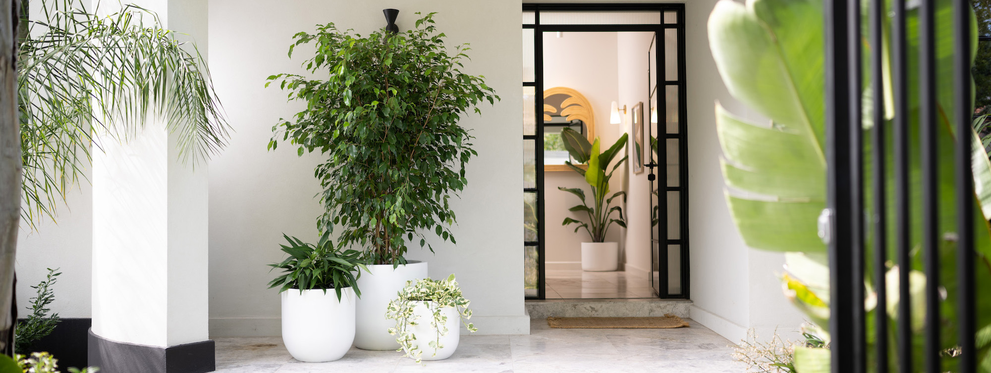 Plant Supplies Sale -Plant Supplies Sale 1