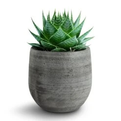 Esra Plant Pot - Mystic Grey -Plant Supplies Sale 138970 pot esra mystic grey 15cmx13cm