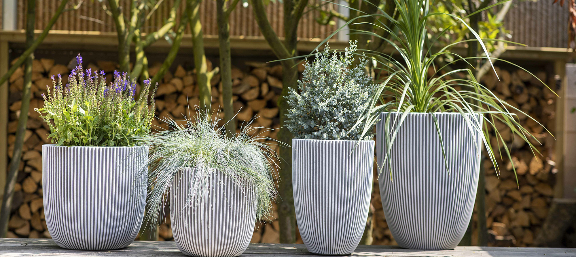 Plant Supplies Sale -Plant Supplies Sale 2