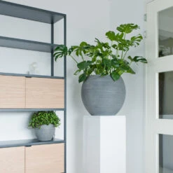 Abby Ball Plant Pot - Ridged Dark Grey -Plant Supplies Sale AbbyBallPlantPot RidgedDarkGrey