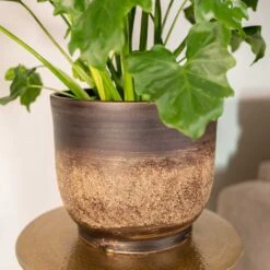 Aico Plant Pot - Shiny Brown 20 Aico Plant Pot - Shiny Brown -Plant Supplies Sale Aico shiny brown 02
