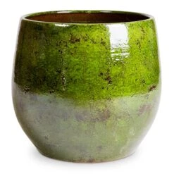 Aimee Plant Pot - Pear -Plant Supplies Sale Aimee Plant Pot Pear 38x34cm