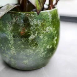 Aimee Plant Pot - Pear -Plant Supplies Sale Aimee Plant Pot Pear Banana Plant