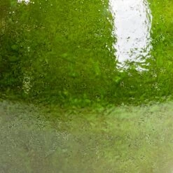 Aimee Plant Pot - Pear -Plant Supplies Sale Aimee Plant Pot Pear SWATCH2