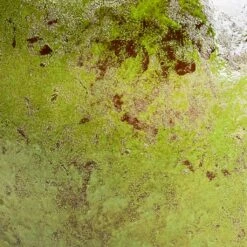 Aimee Plant Pot - Pear -Plant Supplies Sale Aimee Plant Pot Pear SWATCH3