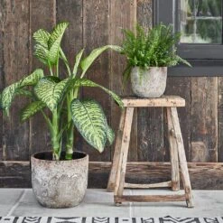 Albero Plant Pot - Cement -Plant Supplies Sale Albero Plant Pot Cement 28 x 26cm