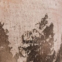 Albero Plant Pot - Cement -Plant Supplies Sale Albero Plant Pot Cement DETAIL