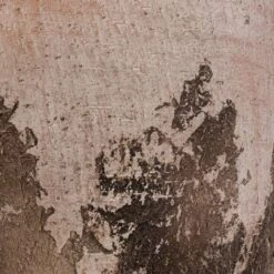 Albero Plant Pot - Cement -Plant Supplies Sale Albero Plant Pot Cement DETAIL d465160c 8621 4f6c 825c 263e6430a47d