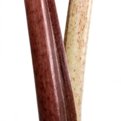 Alocasia Yucatan Princess - Elephant Ear 19 Alocasia Yucatan Princess - Elephant Ear -Plant Supplies Sale Alocasia Yucatan Princess Elephant Ear Close Up 002