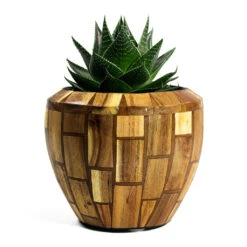 Facets Couple Planter - Jenga -Plant Supplies Sale Aloe aristata Cosmo Facets Couple Planter Jenga