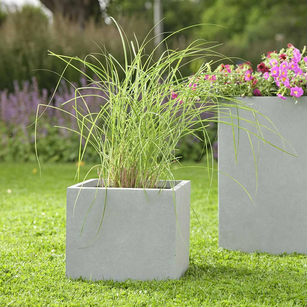 Amfa Square Planters - Set Of 5 - Grey 2 Amfa Square Planters - Set Of 5 - Grey - Image 2