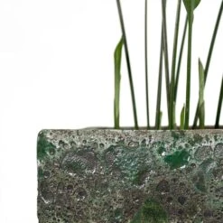 Lava Cube Relic Planter - Jade -Plant Supplies Sale Aspidistra Cast Iron Plant Lava Cube Relic Planter Jade Close Up
