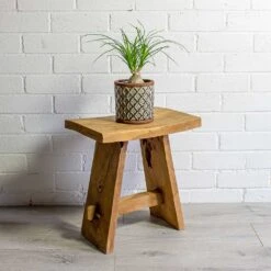 Beaucarnea - Pony Tail Palm - Orb 17 Beaucarnea - Pony Tail Palm - Orb -Plant Supplies Sale Beaucarnea Pony Tail Palm Orb liam grey plant pot natural 75c4d917 b2bf 49b7 be25 2fc18a3f2ba9