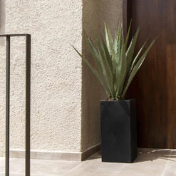 Bouvy Natural Planter - Black -Plant Supplies Sale Bouvy Natural Planter Black Lifestyle