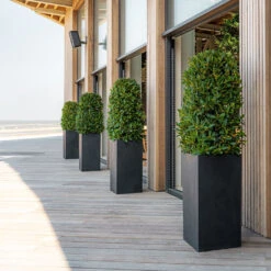 Bouvy Natural Planter - Black -Plant Supplies Sale Bouvy Natural Planter Black Lifestyle 3