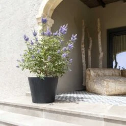 Bucket Natural Planter - Black -Plant Supplies Sale Bucket Natural Planter Black 3