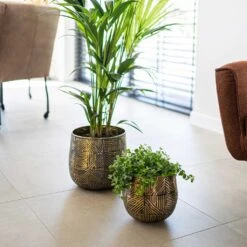 Calvin Metal Plant Pots - Set Of 3 - Matt Gold -Plant Supplies Sale Calvin Metal Plant Pots Set of 3 Matt Gold 3