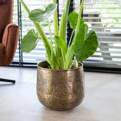 Calvin Metal Plant Pots - Set Of 3 - Matt Gold -Plant Supplies Sale Calvin Metal Plant Pots Set of 3 Matt Gold 4