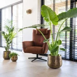 Calvin Metal Plant Pots - Set Of 3 - Matt Gold -Plant Supplies Sale Calvin Metal Plant Pots Set of 3 Matt Gold 6