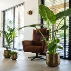 Calvin Metal Plant Pots - Set Of 3 - Matt Gold -Plant Supplies Sale Calvin Metal Plant Pots Set of 3 Matt Gold 7