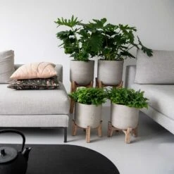 Charlie Plant Pot - Low Stand - Grey Washed 9 Charlie Plant Pot - Low Stand - Grey Washed -Plant Supplies Sale Charlie Plant Pot Tall Stand Grey Washed Lifestyle 02 9225be9f 92ff 40ce 8bec 1627a363928b