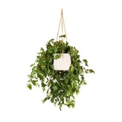 Patt Hanging Plant Pot - Grey Washed -Plant Supplies Sale Cissus rhombifolia Ellen Dancia Grape Ivy 17x40cm Patt Hanging Plant Pot Grey Washed 20x17cm 6f30a8cf 7145 4f62 8638 c015203b702d