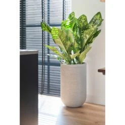 Cody Plant Vase - Ridged Cement -Plant Supplies Sale Cody Plant Vase Ridged Cement Dieffenbachia