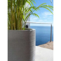 Cody Plant Vase - Ridged Dark Grey -Plant Supplies Sale Cody Tall Planter Ridged Dark Grey Areca Palm