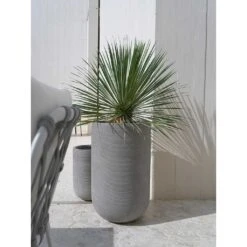 Cody Plant Vase - Ridged Dark Grey -Plant Supplies Sale Cody Tall Planter Ridged Dark Outdoor Palm
