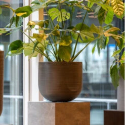 Cody Plant Pot - Ridged Dark Grey -Plant Supplies Sale CodyPlantPot RidgedDarkGrey 6