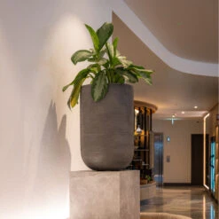 Cody Plant Vase - Ridged Dark Grey -Plant Supplies Sale CodyPlantVase RidgedDarkGrey 1