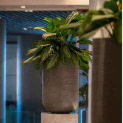 Cody Plant Vase - Ridged Dark Grey -Plant Supplies Sale CodyPlantVase RidgedDarkGrey 6