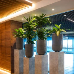 Cody Plant Vase - Ridged Dark Grey -Plant Supplies Sale CodyPlantVase RidgedDarkGrey 8