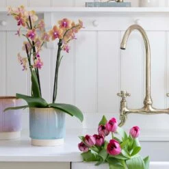 Copenhagen Plant Pot - Aqua -Plant Supplies Sale Copenhagen Plant Pot Aqua 15.5 x 16cm