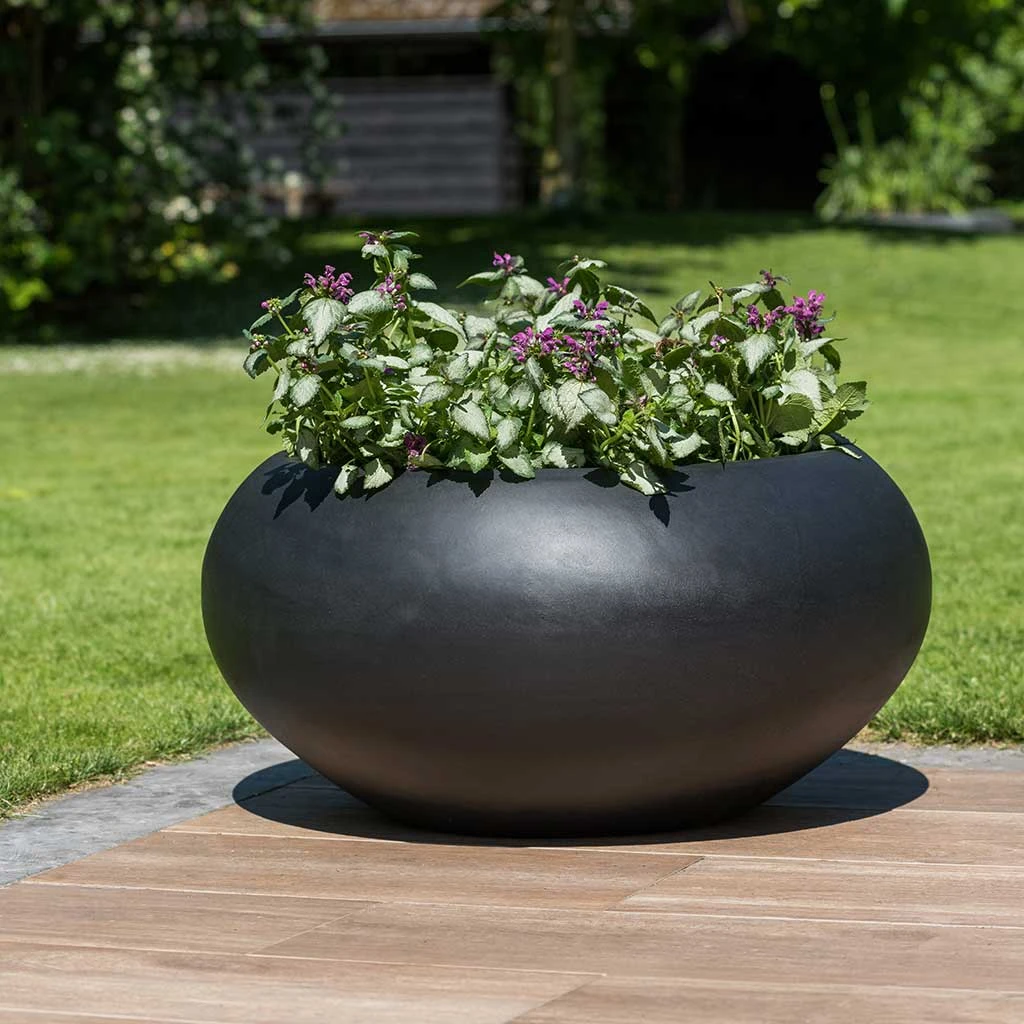 Cora Natural Bowl Planter - Black 2 Cora Natural Bowl Planter - Black - Image 2