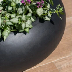 Cora Natural Bowl Planter - Black 9 Cora Natural Bowl Planter - Black -Plant Supplies Sale CoraNaturalBowlPlanter Black 4
