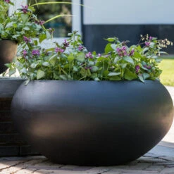 Cora Natural Bowl Planter - Black 11 Cora Natural Bowl Planter - Black -Plant Supplies Sale CoraNaturalBowlPlanter Black 5