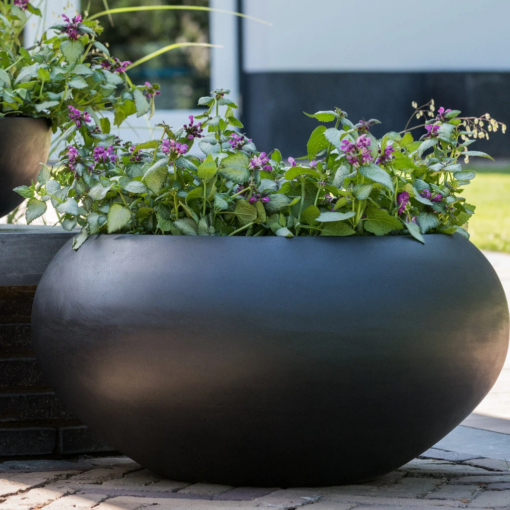 Cora Natural Bowl Planter - Black 5 Cora Natural Bowl Planter - Black - Image 5