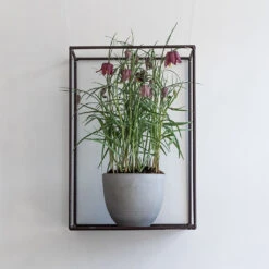 Coral Refined Planter - Clouded Grey -Plant Supplies Sale Coral Refined Planter Clouded Grey Lifestyle