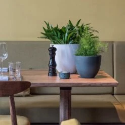 Coral Refined Planter - Natural White 15 Coral Refined Planter - Natural White -Plant Supplies Sale Coral Refined Planter Pine Green Natural White Houseplants