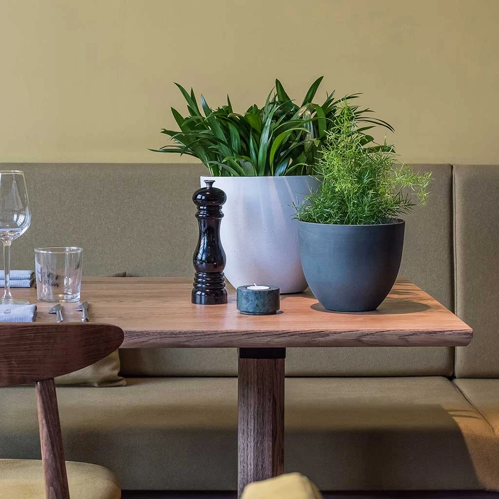 Coral Refined Planter - Pine Green 4 Coral Refined Planter - Pine Green - Image 4