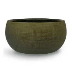 Dex Plant Bowl - Forrest