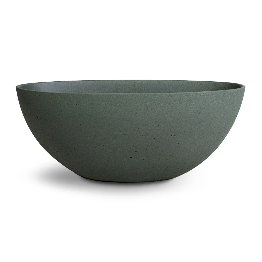 Dorant Refined Oval Plant Bowl - Pine Green 3 Dorant Refined Oval Plant Bowl - Pine Green - Image 3