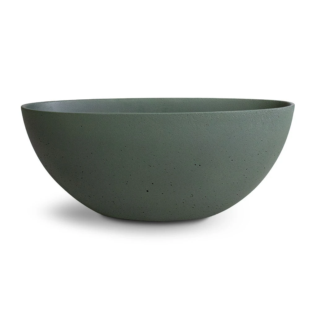 Dorant Refined Oval Plant Bowl - Pine Green 4 Dorant Refined Oval Plant Bowl - Pine Green - Image 4