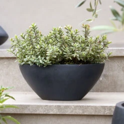 Dorant Natural Planter - Black -Plant Supplies Sale DorantNaturalPlanter Black 3