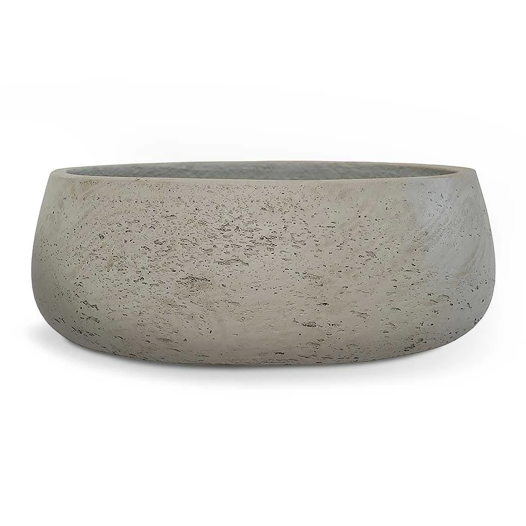 Eileen Plant Bowl - Grey Washed 1 Eileen Plant Bowl - Grey Washed
