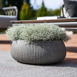 Eileen Plant Bowl - Ridged Dark Grey -Plant Supplies Sale Eileen Planter Ridged Dark Grey Outdoor