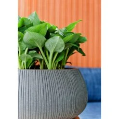 Eileen Plant Bowl - Ridged Dark Grey -Plant Supplies Sale Eileen Planter Ridged Dark Grey Texture