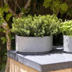 Eli Plant Bowl - Grey Washed -Plant Supplies Sale Eli Plant Bowl Grey Washed Rosemary