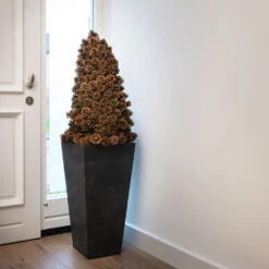 Ella Artstone Tall Planter - Black -Plant Supplies Sale Ella Artstone Tall Planter Black 1